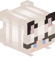 Kodackx