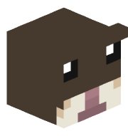 qqushi