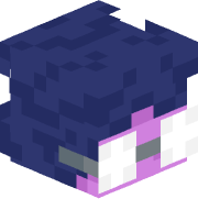 s_n_e_b