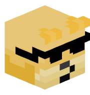 VexinIsHere