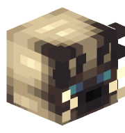 TheC0nster