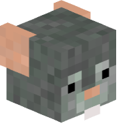 chesteeer