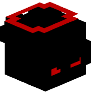 TR_Auditor_TR