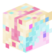 Rawrencatt