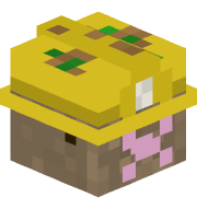 mayorNiki