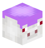 Hawkoo