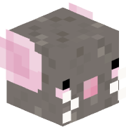 mouseinapizzabox