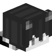 Wraix