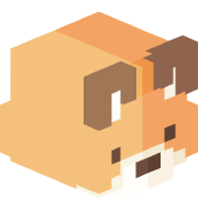 jthecat