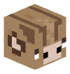 Голова Minecraft — Aardvark