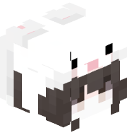 Desco4d