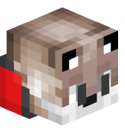 the_coyote_guy