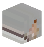 timmy_11231