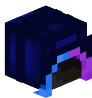 sup_de_dup911