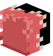 Vvewer