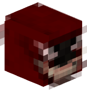 Jelly4Ever