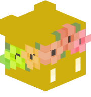 DenizArc