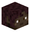 Tete Minecraft de dascaloti