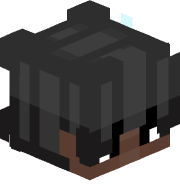 ISGN