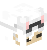 usernaem_typo