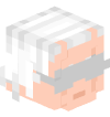 Голова Minecraft — 2015 Doc