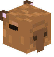 DnDMinecraft