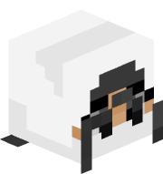Heidemann