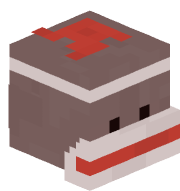 NCraft101