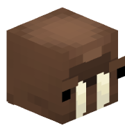 zeba0donas