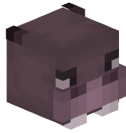 HIPPO84