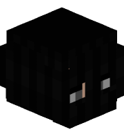 AMBASSADOR13