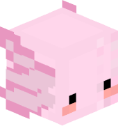 dizzyaxolotl