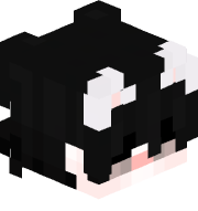 MiniPooter