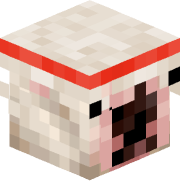 xdsbafgh