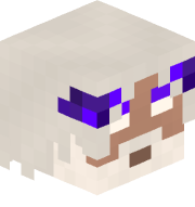 PINGOcerato