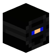 TheNinjapotter