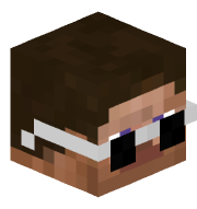 noil