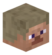 IronChain512919