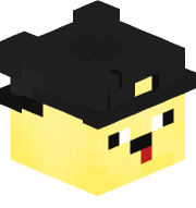 duckws13