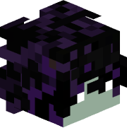 _VILN_
