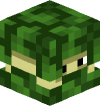 Голова Minecraft — Acacia Leaves Shulker