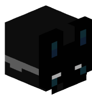 ss0h