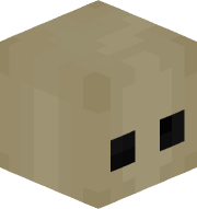 wexez