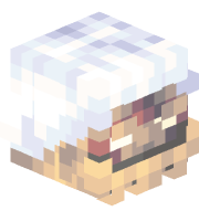 CarlTodd