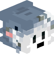 IVExpense