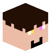 VINgaming1113