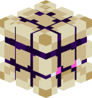 Speedturtle343