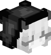 DuplexTerm