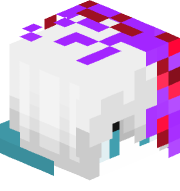 Kevin9784