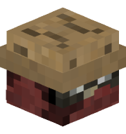 thecatonitsback
